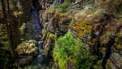Baring Creek, Glacier National Park, MT