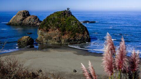Beach At Houda Point, Trinidad, CA