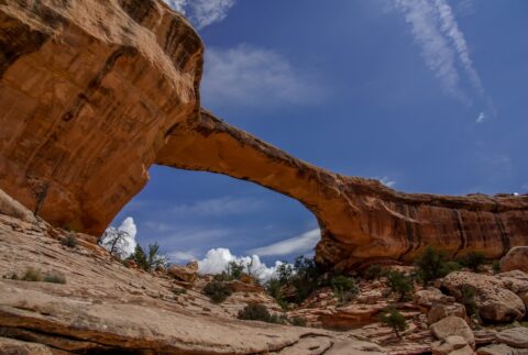 Beautiful Owachomo Bridge, Natural Bridges National Monument, UT