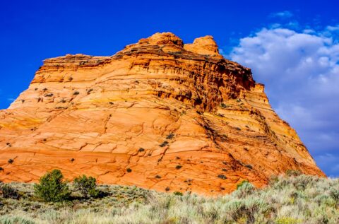Big Like Tower, Rock Formation In Pow Hole, Varmilion Cliffs National Monument, AZ