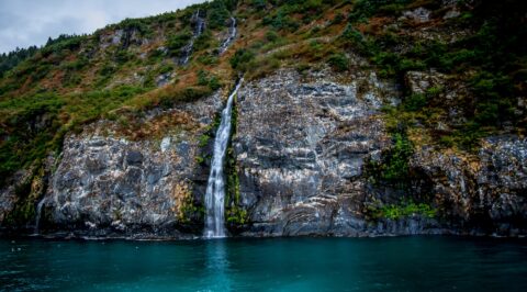 Waterfalls And Black Legged Kittiwake Bird Colony In Prince Willam Sound Near Whittier, AK