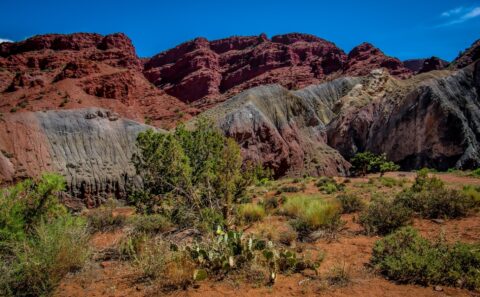Campsite At Very Colorful Location Along Onion Creek Trail, Moab, UT