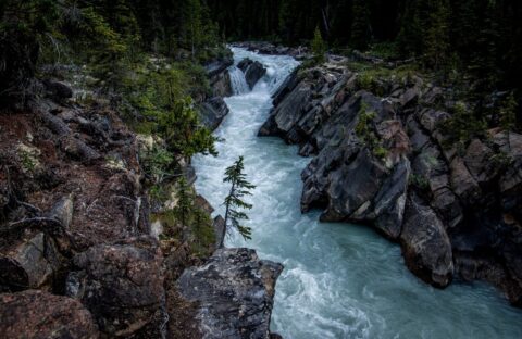 Cascades In Small Gorge Along Yoho Valley Trail Near Laughing Falls, Yoho National Park, BC