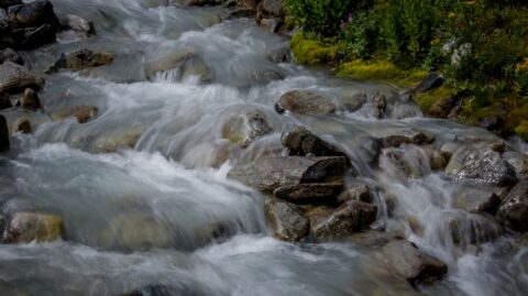 Cascading Waters Through Hermit Meadows On Top Of The Hermit Trail In Glacier National Park, BC