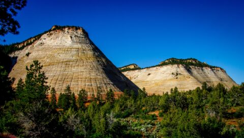 Checkerboard Mesa, Zion National Park, UT
