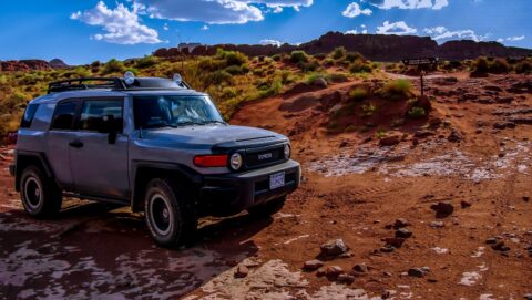 Chicken!!! Who Cannot Drive Through, Chicken Corners Trail, Moab, UT