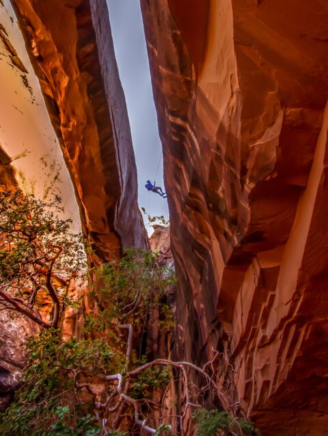 Cliffhanger By The Morning Glory Bridge In Negro Bill Canyon, Moab, UT