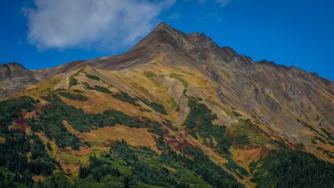 Colorful Hillside Along Cassiar Highway (37), Bell II, BC