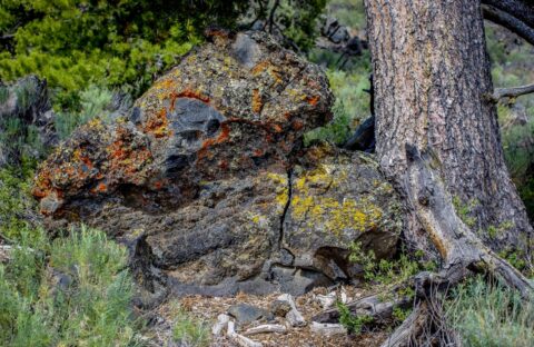 Colorful Volcanic Rock On The Ground In Craters Of The Moon National Monument, ID