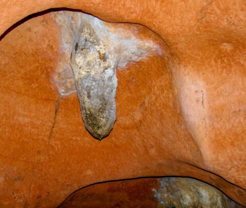 Detail From Lol-Tun Caves, Yucatan, Mexico