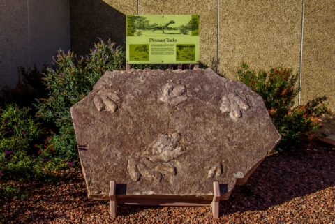Dinosaur Tracks, Page, AZ