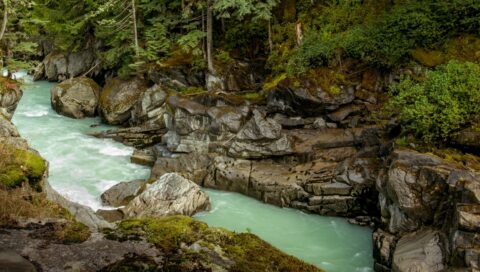 Downstream From The Nairn Falls, BC