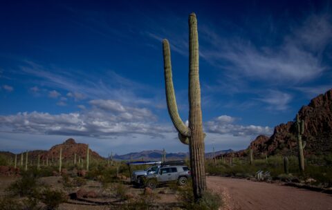 Dripping Spring Trailhead In Organ Pipe Cactus National Monument, AZ