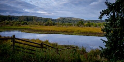 Early Morning Scenery From Rest Area On Yellowhead Highway (16), Topley, BC