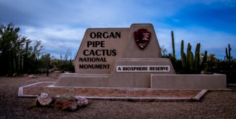 Entrance To Organ Pipe Cactus National Monument, AZ
