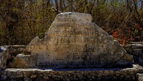 Entrance To Dzibilchaltun Archaeological Site In Yucatan, Mexico
