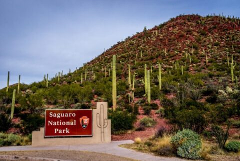 Entrance To West Saguaro National Park, Tucson, AZ