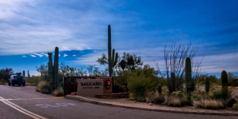 Entrance to East Saguaro National Park, Tucson, AZ