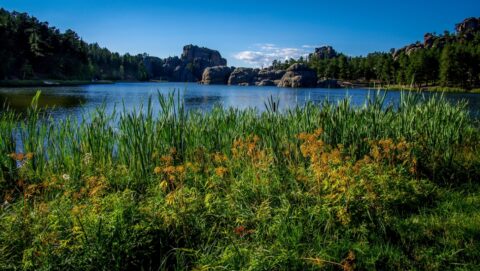 Evening By The Lake In Custer State Park, Black Hills, SD