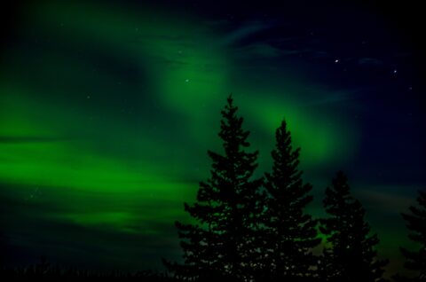 First Time Under Aurora Borealis, Madeline Lake, Yellowknife, NT