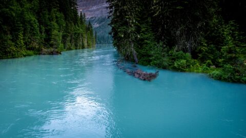 Glacier Waters Of Robson River Along The Trail To Berg Lake, Mount Robson Provincial Park, BC