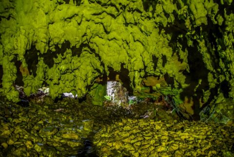 Green Ceiling In Lol-Tun Caves, Yucatan, Mexico