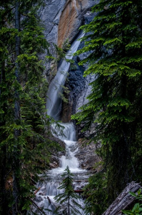 Hamilton Falls, Yoho National Park, BC