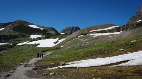 Hidden Lake Overlook Trail From Logan Pass, Glacier National Park, MT