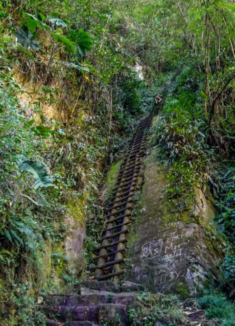 Hiker On Very Long Ladders Up To Putucusi Mountain In Aguas Calientes, Peru