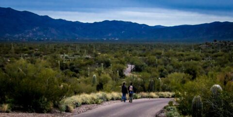 Hikers In East Saguaro National Park, Tucson, AZ