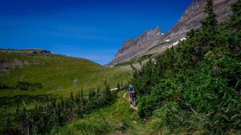 Hikers On The Highline Trail, Glacier National Park, MT