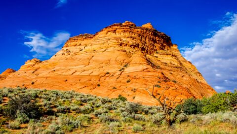 Hiking Around Tower Shaped Rock Formation In Pow Hole, Varmilion Cliffs National Monument, AZ