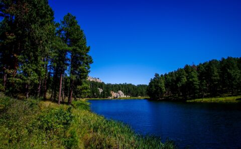 Indian Summer In  Black Hills, SD