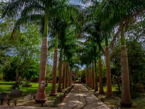 Interior Of Beautiful Hacienda With Agricultural Railway in Yucatan, Mexico