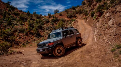 It Was So Steep Down That I Did Not See My Trail, Onion Creek Trail Towards La Sal Mountains , Moab, UT