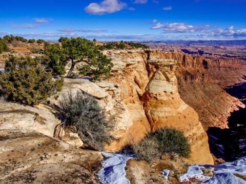 Just Goodbye @ “My Mushroom”