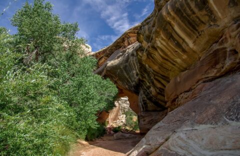 Kachina Bridge, Natural Bridges National Monument, UT