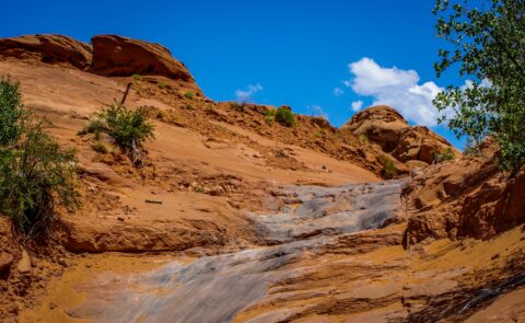 Kind Of Bumpy And Angled Section Of Poison Spider Trail, Moab, UT