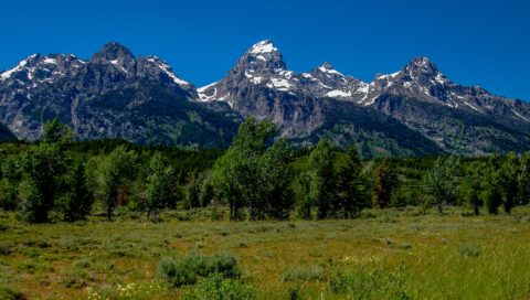 Landscape of  Grand Teton National Park, WY