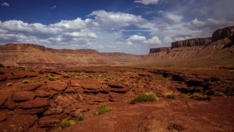 Like On The Red Planet, Chicken Corners Trail At Sunset, Moab, UT