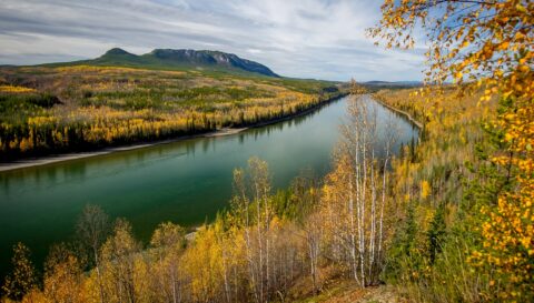 Look At Liard River From Rest Area On Alaska Highway In Northern BC
