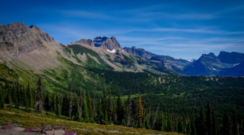 Look From Granite Park Chalet Towards Logan Pass, Glacier National Park, MT