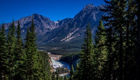 Look From Remote Free Campsite At Kicking Horse River and Wapta Falls in Yoho National Park, BC