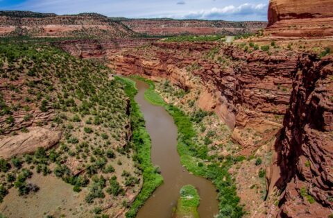Look Towards North From Vista on Highway 141: San Miguel River, CO