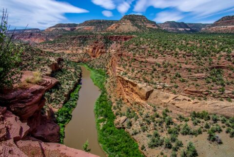 Look Towards South From Vista on Highway 141: San Miguel River, CO