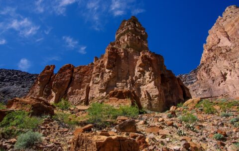 Look Up From Whitmore Canyon, Grand Canyon North Rim, AZ