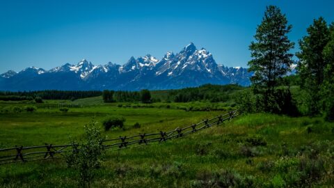 Meadows & Glaciers In Grand Teton National Park, WY