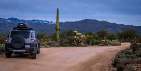 Mica View Road In East Saguaro National Park, Tucson, AZ