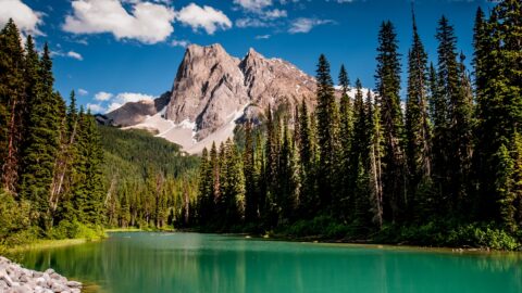Mount Field Behind Emerald Lake, Yoho National Park, BC