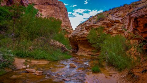 Multiple Creek Crossing In Negro Bill Canyon, Moab, UT
